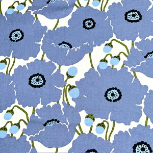 yȖLoXz10cmPʑăJbg傫ȃ|s[@S3F@2025