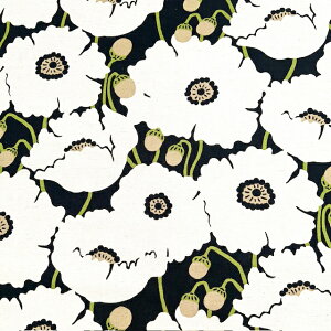 �y�Ȗ��L�����o�X�z��10cm�P�ʑ����ăJ�b�g���傫�ȃ|�s�[���@�S3�F�@2025