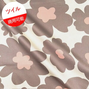 ycCz58cmnMk@傫ȉԁ@J[FL.AC{[nɃO[Wԁwc58cm×110cmx