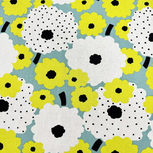 yȖLoXz10cmPʑăJbgk@shbg̑傫ȉԕ@S3F@2025