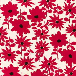 �y�Ȗ��L�����o�X�z��10cm�P�ʑ����ăJ�b�g���f�C�W�[�@�ԕ��@�S4�F�@2025