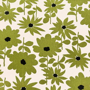 yȖLoXz10cmPʑăJbgfCW[@ԕ@S4F@2025