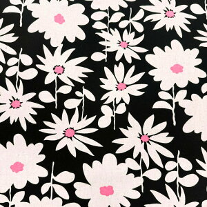 �y�Ȗ��L�����o�X�z��10cm�P�ʑ����ăJ�b�g���f�C�W�[�@�ԕ��@�S4�F�@2025