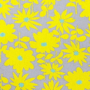 yȖLoXz10cmPʑăJbgfCW[@ԕ@S4F@2025