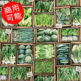 楽天市場 野菜 手芸 クラフト 生地 日用品雑貨 文房具 手芸 の通販