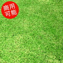 楽天市場】芝生 生地 ぷらんぷちぃくすの通販