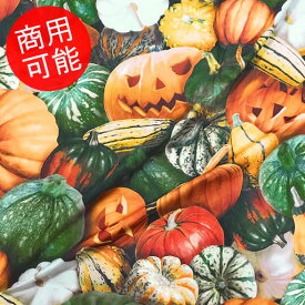楽天市場 かぼちゃ 型紙 ハロウィンの通販