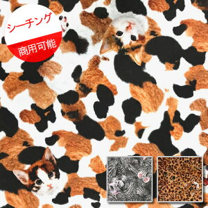 yV[`Oz47cmplPʑăJbglR@Avg@2021@ylR qL AJV[gwA@Tog ݂˂ xK fW^vgz