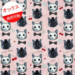 猫 リボン ホビーの人気商品 通販 価格比較 価格 Com 猫 リボン ホビーの人気商品 通販 価格比較 価格 Com