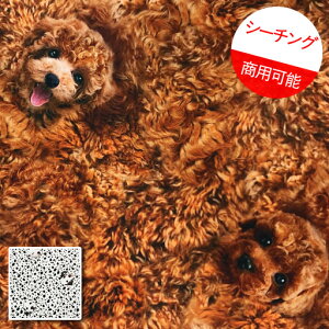 MyV[`Oz47cmplPʑăJbgCk@Avg@2022@