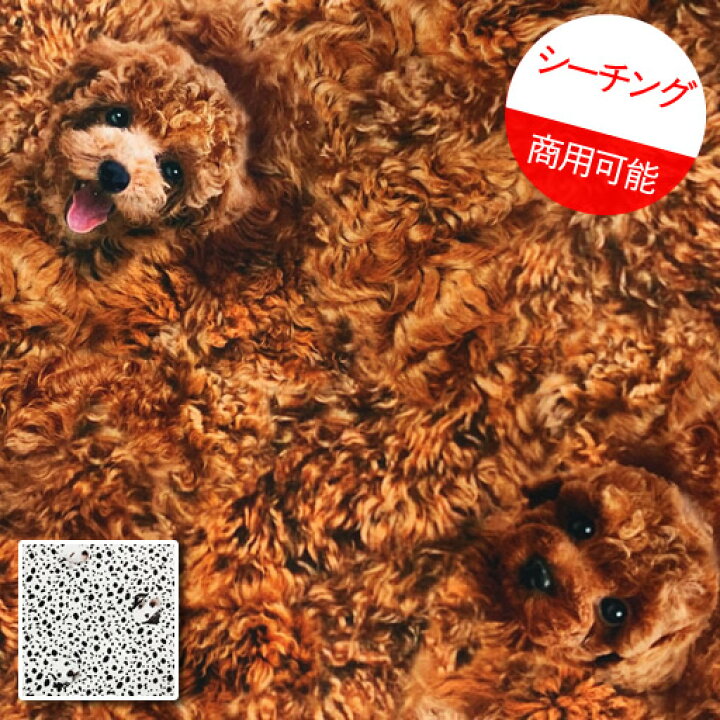 楽天市場 シーチング 47cmパネル単位続けてカット イヌ柄 リアルプリント 22 犬 いぬ 愛犬 柴犬 しば トイプー トイプードル ダルメシアン ダル デジタルプリント インクジェット 布 生地 商用利用可能 メール便可能 D ハンドメイドのお店ファブリックス