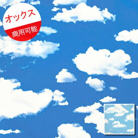 【オックス】★10cm単位続けてカット★リアルな雲柄　2022　【背景 くも クモ 天気 空 そら 青空 晴天 目隠し】