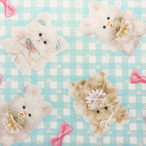 lys[`XLz1mJbgNXimaDOKI Kids@ӂӂxr[{Aj}×`FbN@S2Fwc1m×70cmx2025