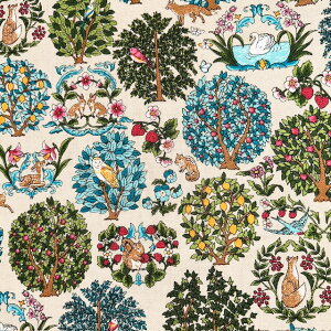 yȖLoXz10cmPʑăJbgb̐XƓ@S3F@2025