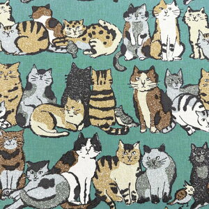 yȖLoXz10cmPʑăJbgL̃XPb`{[_[@Art CAT@S3F@2025