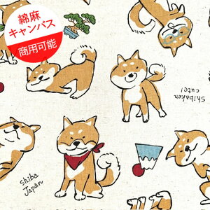 yȖLoXz10cmPʑăJbgČ VoWp@DoodleAnimals@n×}`J[@2025