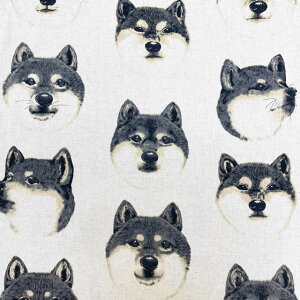 yȖLoXz10cmPʑăJbgČ@rbOtFCX@S3F@2025