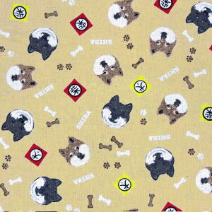 yȖLoXz10cmPʑăJbgČ@XebJ[@S3F@2025