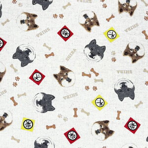 yȖLoXz10cmPʑăJbgČ@XebJ[@S3F@2025