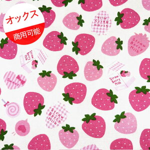 yIbNXz10cmPʑăJbgXgx[~N@CɓV[Y@ItzCg@2026