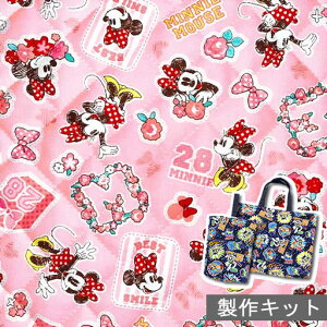 布 ディズニー 生地 女の子の通販 価格比較 価格 Com