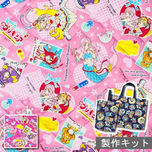 yْfς݃LgZbgz gsJ[WvLA@[Wƃ`FbNn[g@yLAT}?  w LeBOz