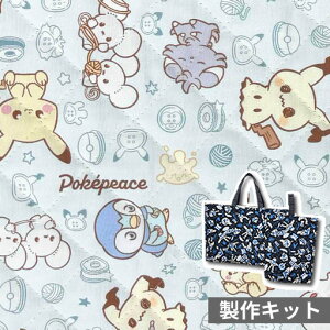 �y�ْf�ς݃L���g����Z�b�g�z �|�P�s�[�X�@��|���@�|�P�����@�T�b�N�X�@2025�@�}�`�t�����b�X���o�b�O�ƃV���[�Y�o�b�O������Z�b�g�ł���ْf���[�����ς݂ŒZ���ԃn���h���C�h��