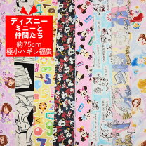 楽天市場】ディズニー 福袋（はぎれ・カットクロス｜手芸・クラフト 