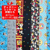 楽天市場】ディズニー 服（はぎれ・カットクロス｜手芸・クラフト 