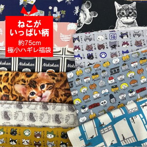 75cmɏnM܁@˂ς@yL lR p\ nM   nhCh  n zz