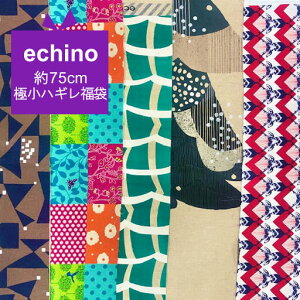 75cmɏnM܁@echino@yECHINO G`m ÉƉxq fUCi[Y nM   nhCh  n zz m09