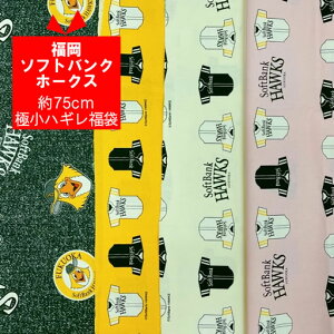 75cmɏnM܁@\tgoNz[NX@y\tgoN softbank 싅 nM   nhCh  LN^[ n zz