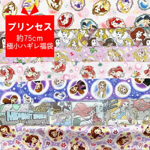 75cmɏnM܁@vZX@ydisney x AG WX~ Vf I[P ̎q nM   nhCh  LN^[ n zz