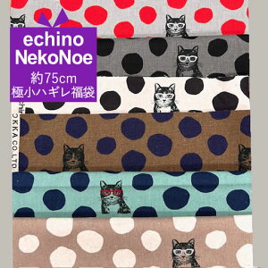 75cmɏnM܁@echino@NekoNoe@LƐʕ@yK from 30 SEWINGPINS×echino ECHINO G`m ÉƉxq ˂ lR fUCi[Y nM   nhCh  n zz