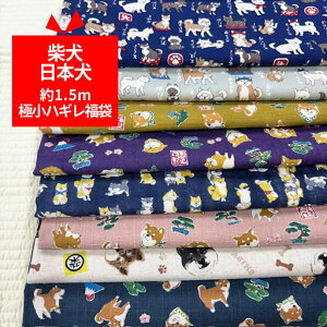 1.5mɏnM܁@ČE{25cm~e͓͂܂ły݂ƂȂ܂