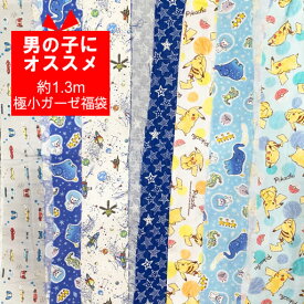 楽天市場 Pokemon 福袋 手芸 クラフト 生地 日用品雑貨 文房具 手芸 の通販