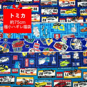 75cmɏnM܁@g~J@y͂炭 ^Jg~[  h oC | ~} pg[J[ zC[[_ nM   nhCh  LN