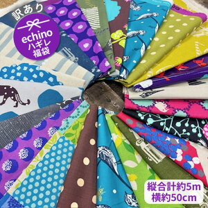 󂠂echinonM܁@cv5m×50cm@e͂y݁
