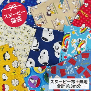 v3mXk[s[܁@2.5m{܂n50cm@Zbge͂y݂ƂȂ܂B