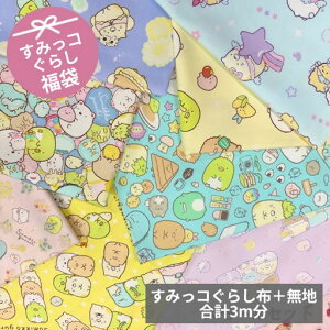 v3m݂R炵܁@2.5m{܂n50cm@Zbge͂y݂ƂȂ܂B