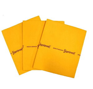 y݌ɌzyShamWowzVE hCc zNX LTCY 3Zbgyz