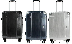 �iACE�j�G�[�X �C�O�U�N�g �w�A���C�����X�[�c�P�[�X 55-68L �y���������I�z���J���[���I�щ�����