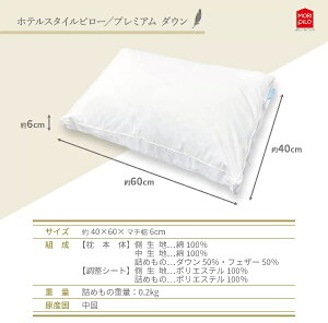 (݌Ɍj (V^jzeX^Cs[ v~A@1yz