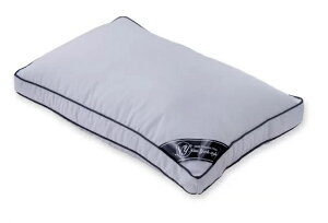 (݌Ɍj (V^jzeX^C s[ Cgyz