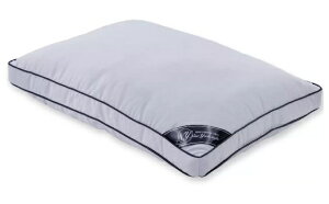 (݌Ɍj (V^jzeX^C s[ M[yz