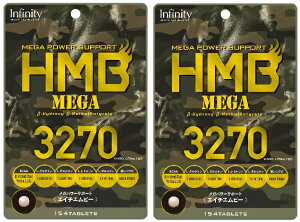 y݌ɌzyCOSTCOzRXgRyInfinityzCtBjeB HMB MEGA 3270 i154 x 2 ܁jy z1ڈʁF11