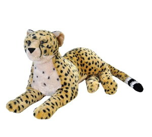 yWild RepubliczChpubN `[^[ W{ ʂ 19553[  ] yzMtgbsOs