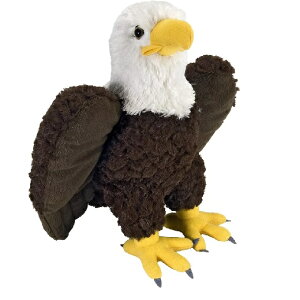 yWild RepubliczChpubN nNgEV ʂ 10919[  ] yzMtgbsOs