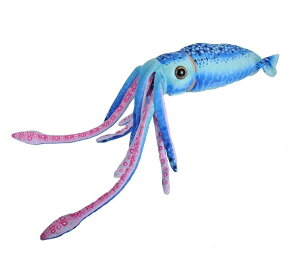 yWild RepubliczChpubN _CIECJ u[ ʂ 23548[  ] yzMtgbsOs