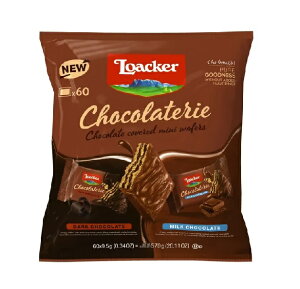 �iLoaker�j���A�J�[ �V���R���e���\�A�\�[�g 570g�@���[�J�[�y���������z